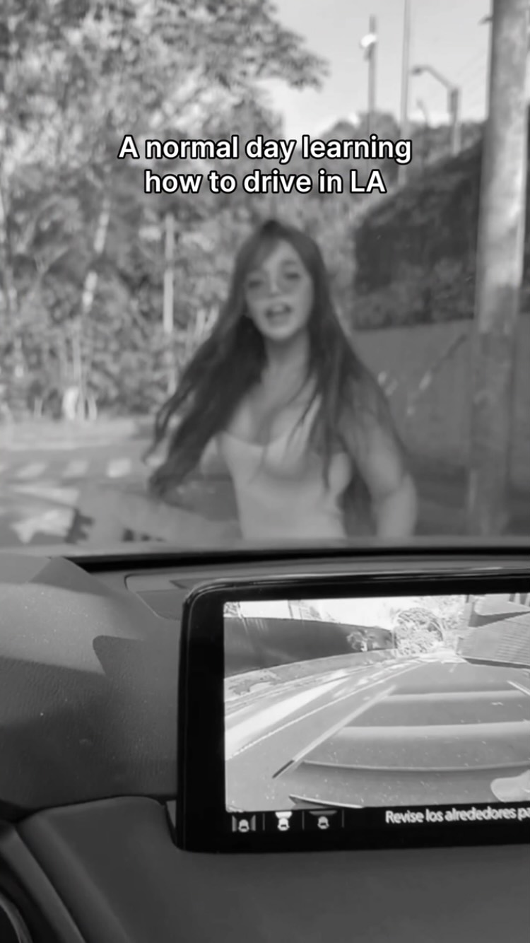 A normal day learning how to drive in LA